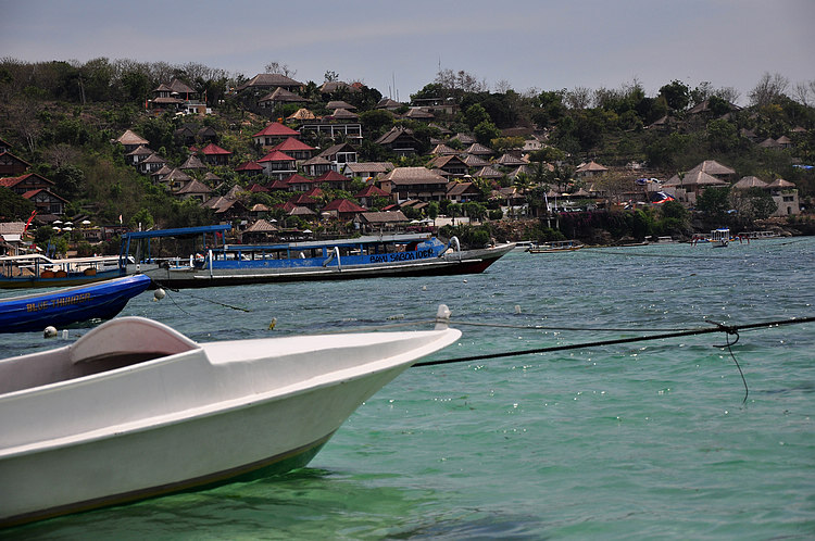 DSC_8705.JPG