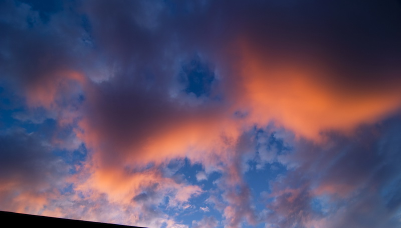 DSC_00021108.jpg
