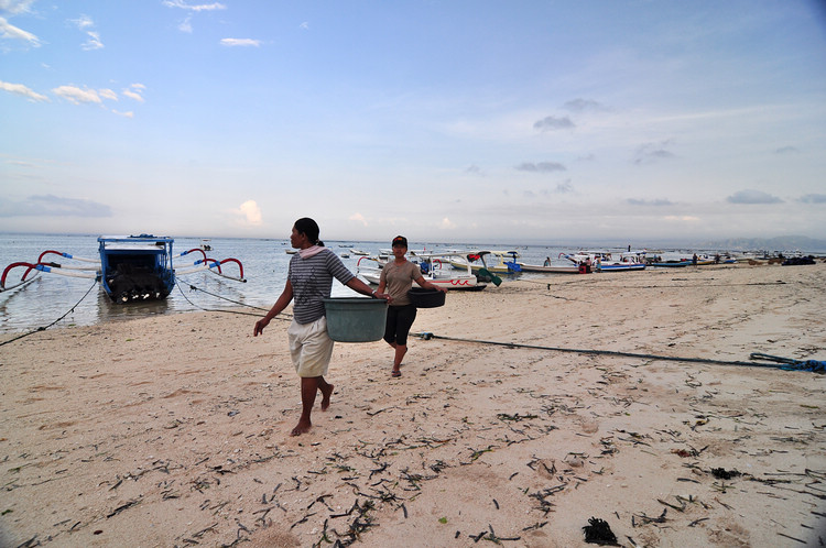 DSC_8915.JPG
