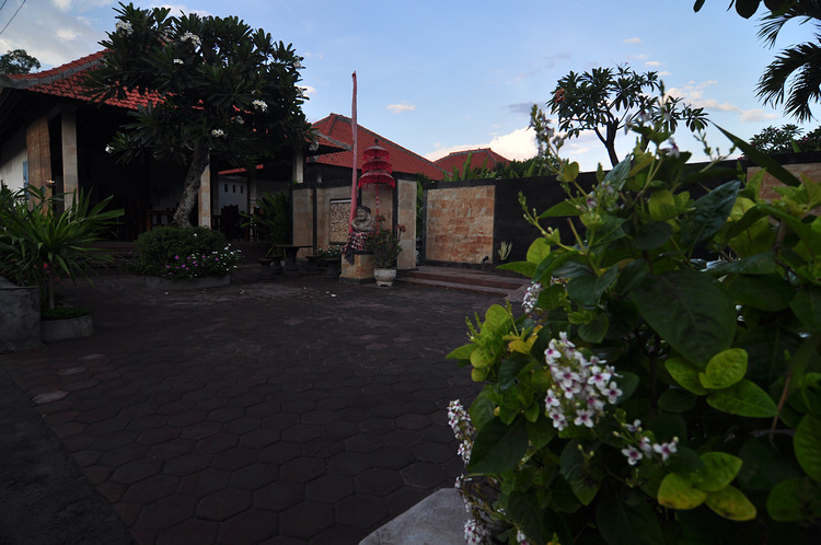 DSC_8893.JPG