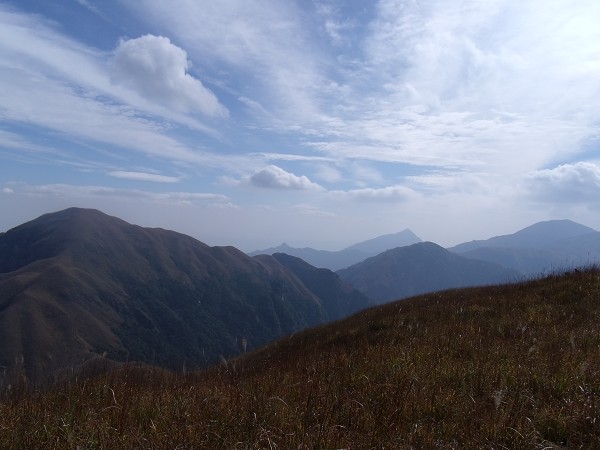 DSCF0591.jpg