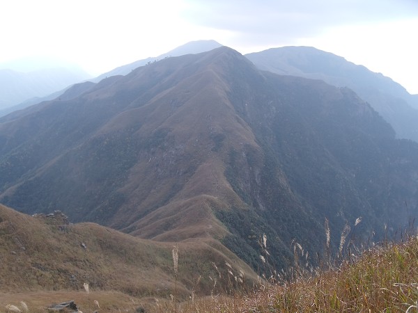 DSCF0618.jpg