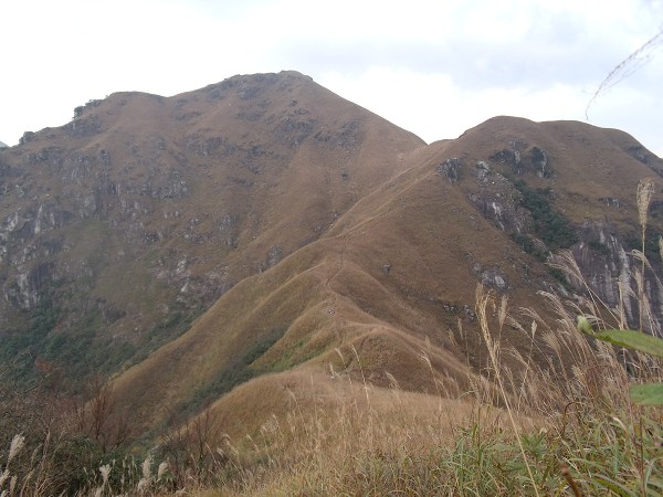 DSCF0620.jpg
