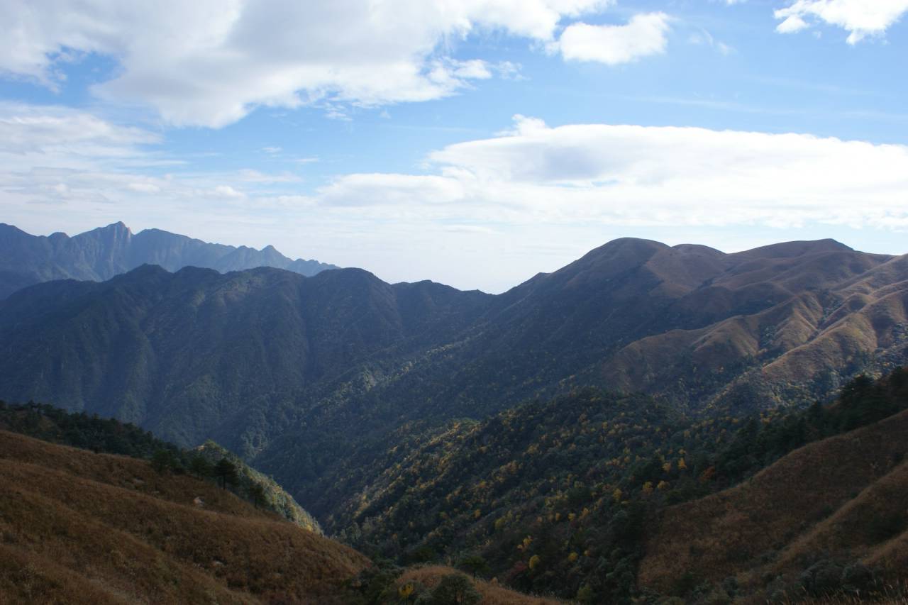 DSC07823.JPG