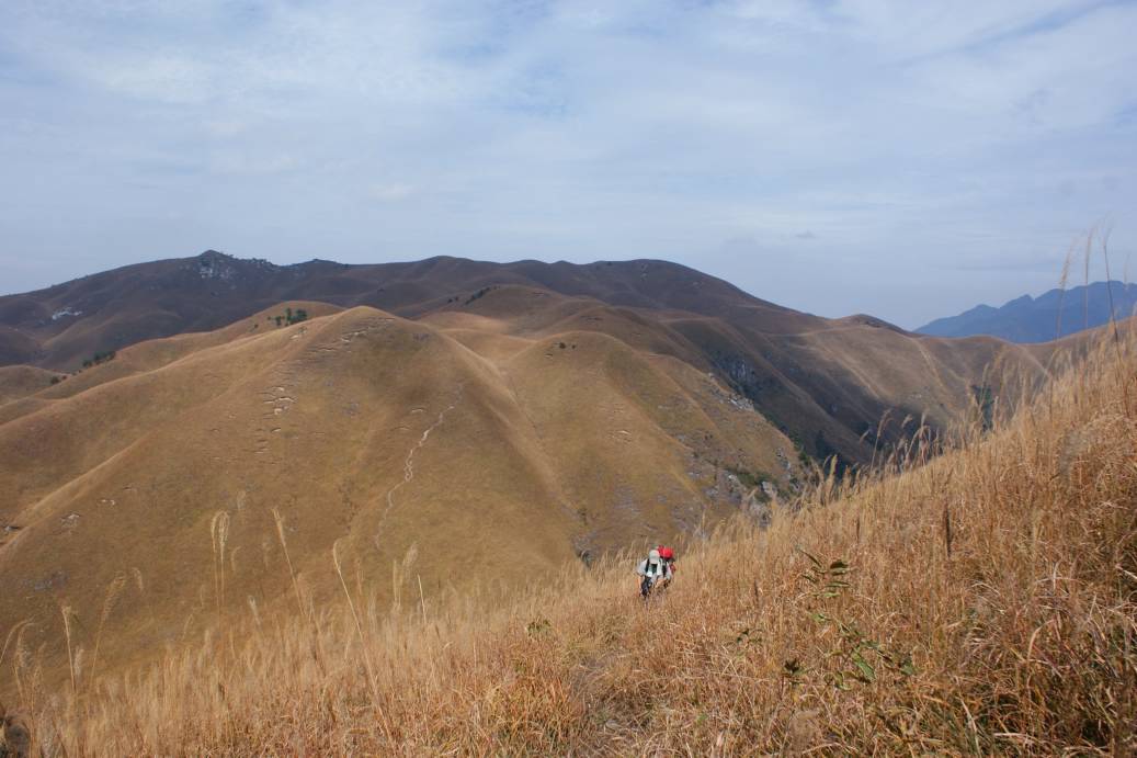 DSC07880.JPG