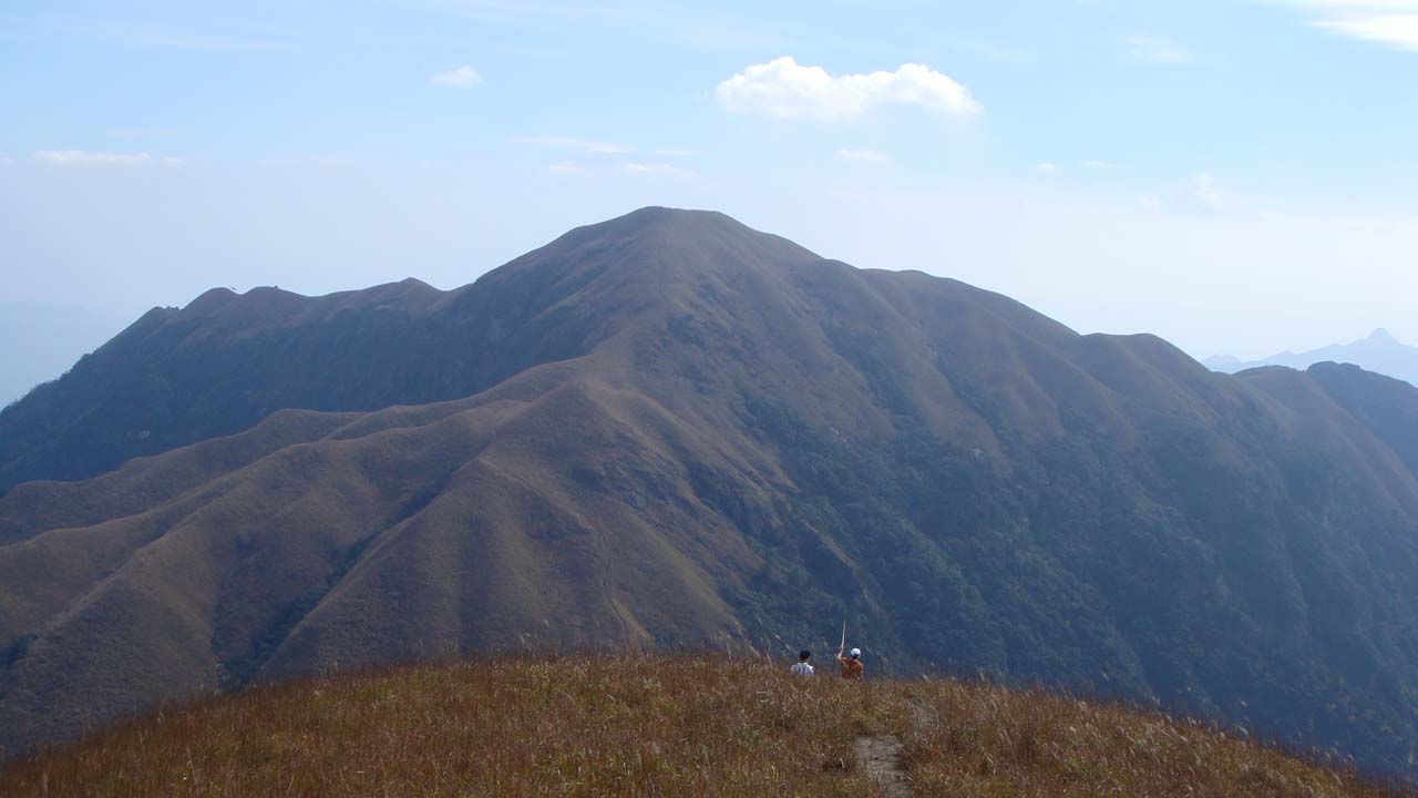D00835.jpg