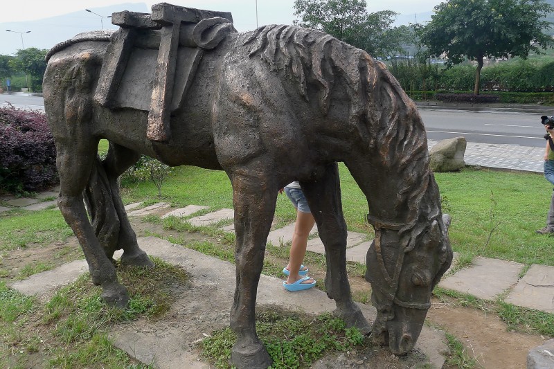 conew_p1020705.jpg
