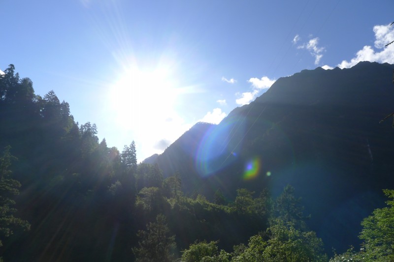 conew_p1020854.jpg