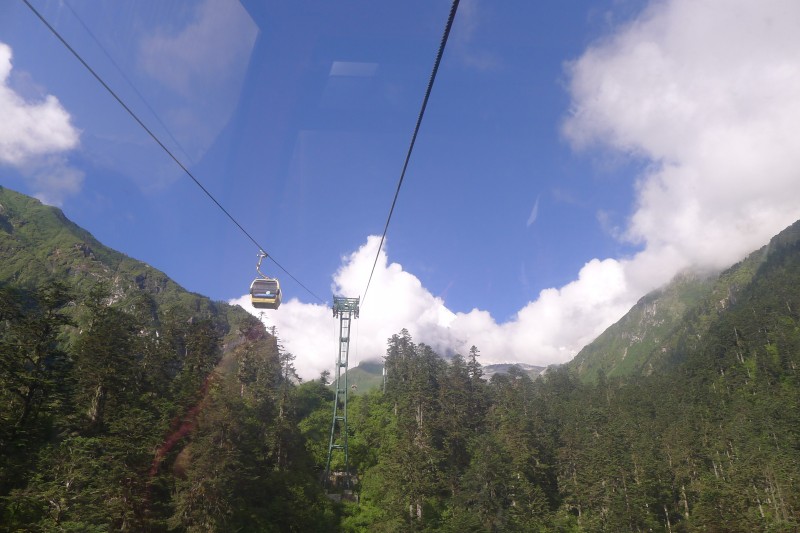 conew_p1020882.jpg