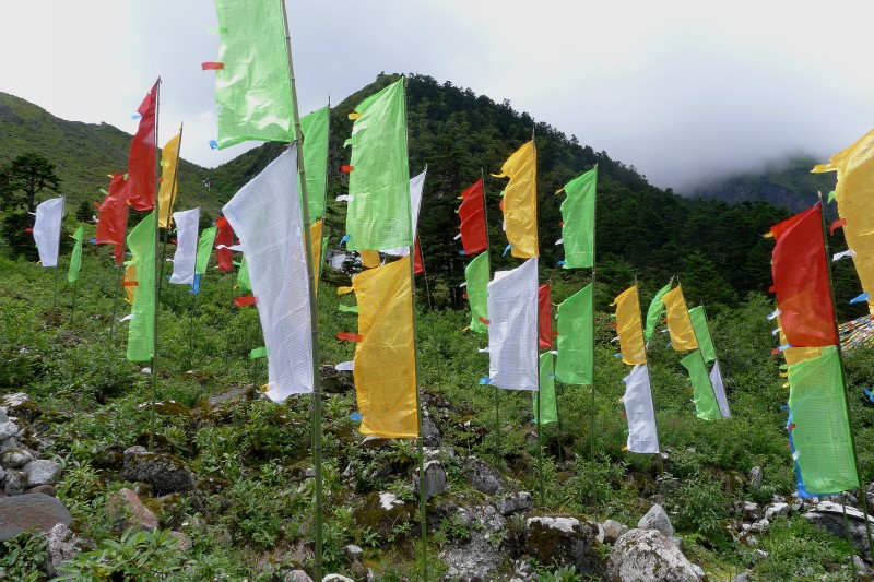 conew_p1030142.jpg