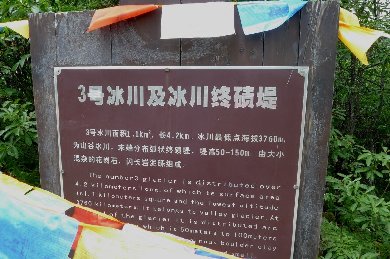 conew_p1030113.jpg
