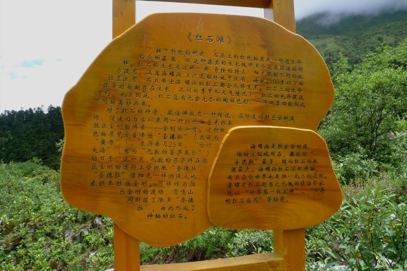conew_p1030145.jpg