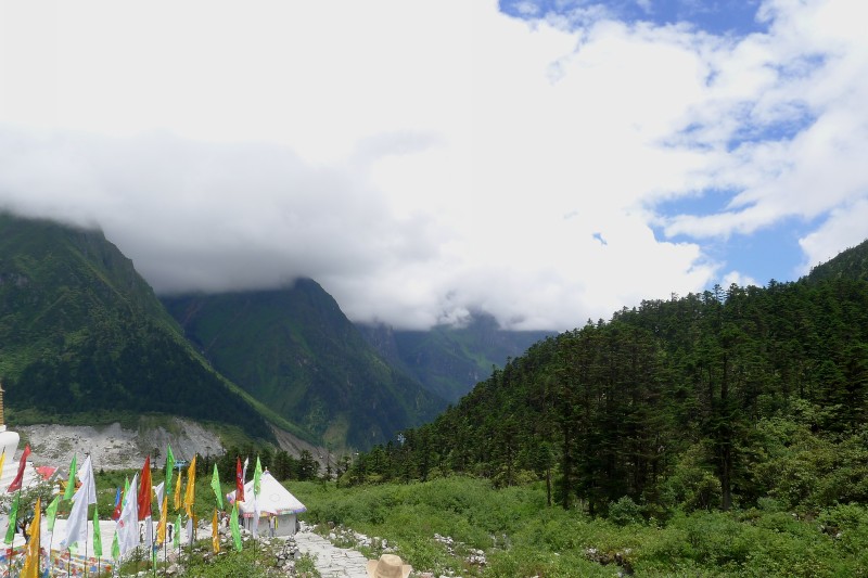 conew_p1030194.jpg