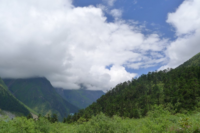 conew_p1030199.jpg