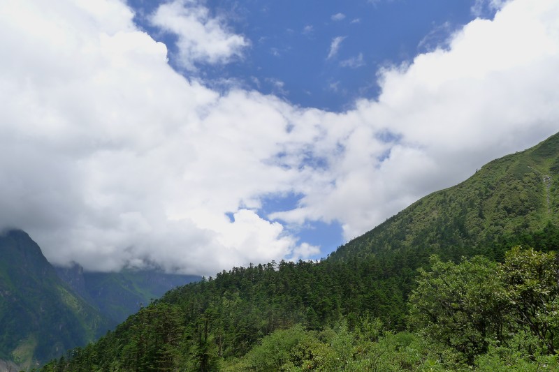 conew_p1030192.jpg