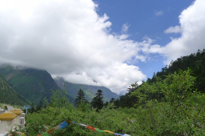 conew_p1030212.jpg