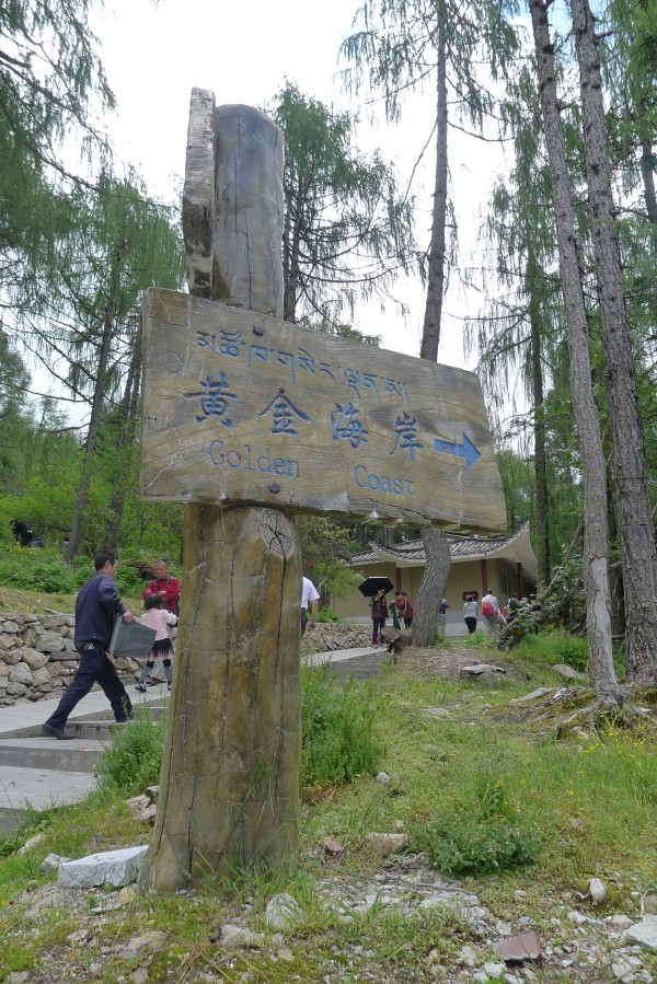 conew_p1030371.jpg