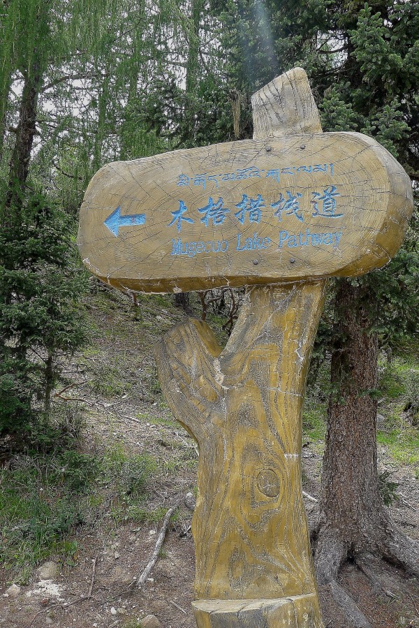 conew_p1030430.jpg