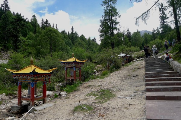 conew_p1030431.jpg