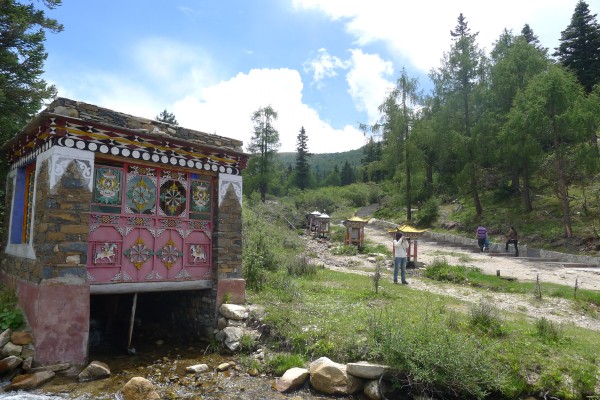 conew_p1030425.jpg