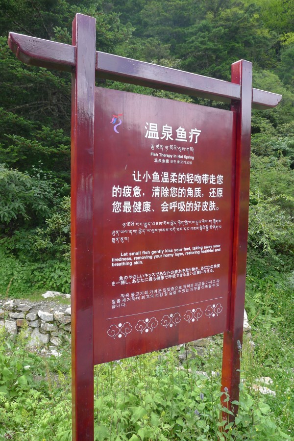 conew_p1030449.jpg
