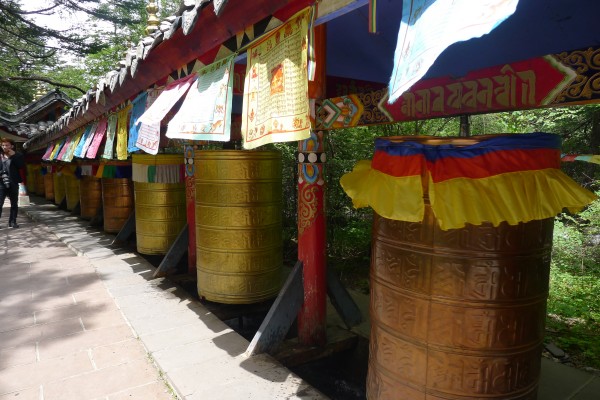 conew_p1030481.jpg