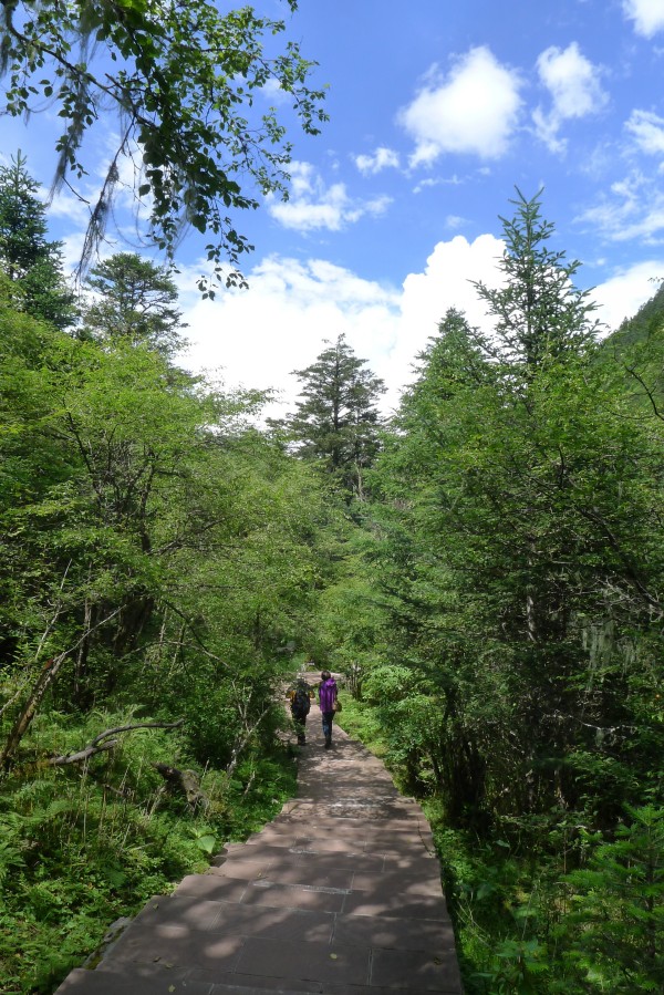 conew_p1030515.jpg