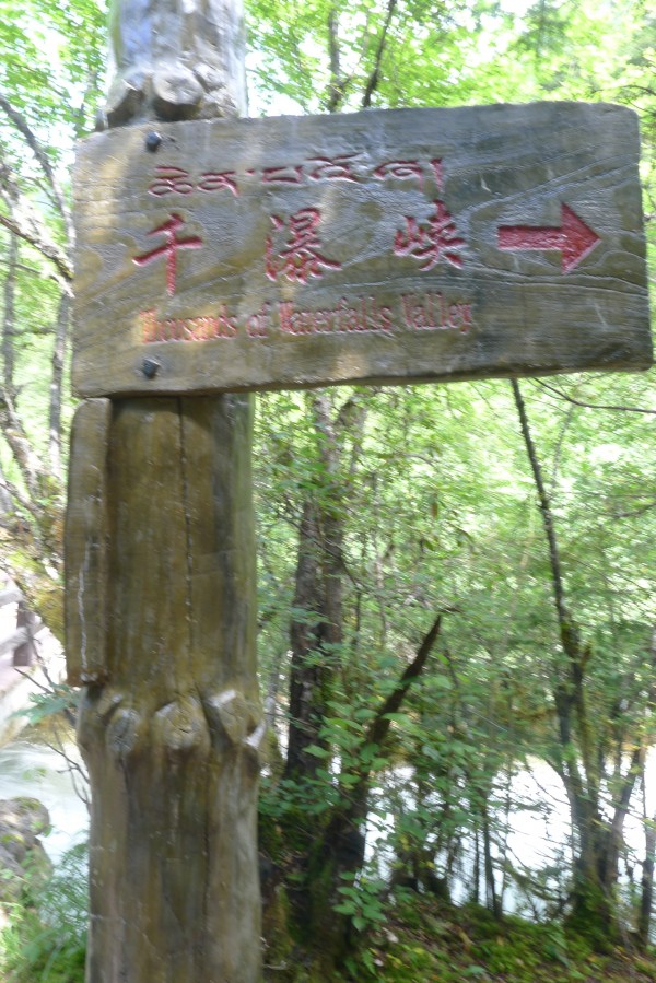 conew_p1030546.jpg