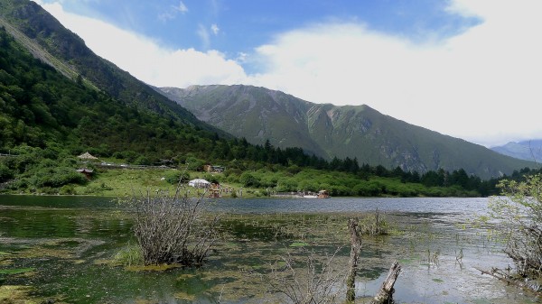 conew_p1030576.jpg