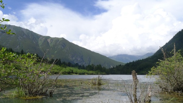 conew_p1030580.jpg