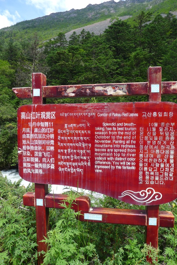 conew_p1030497.jpg