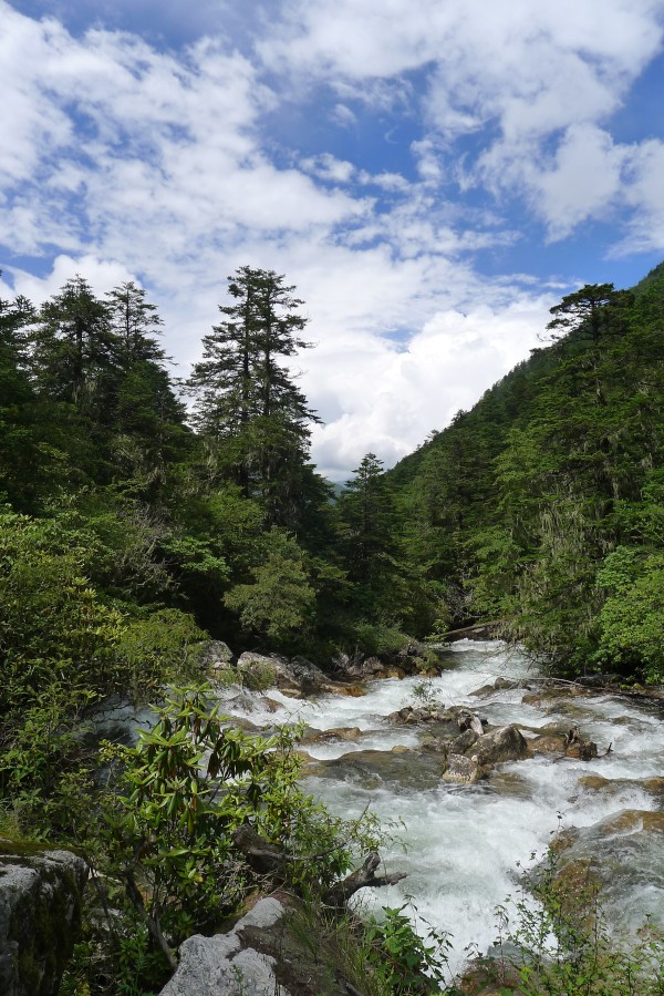 conew_p1030499.jpg