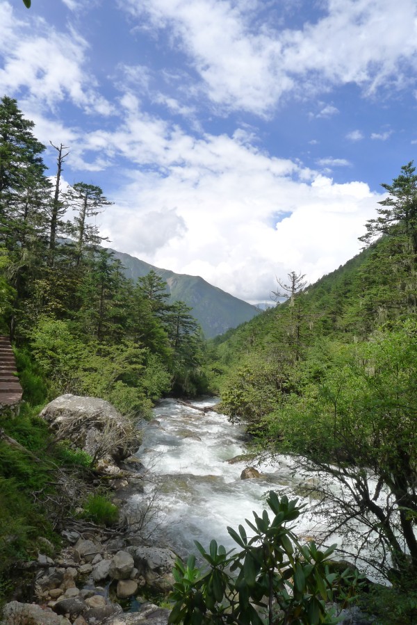 conew_p1030507.jpg