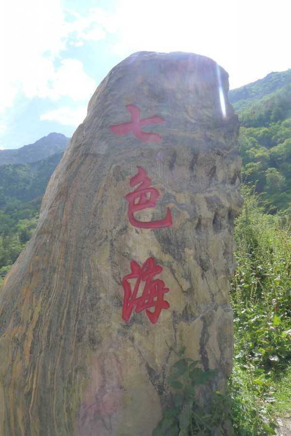 conew_p1030592.jpg