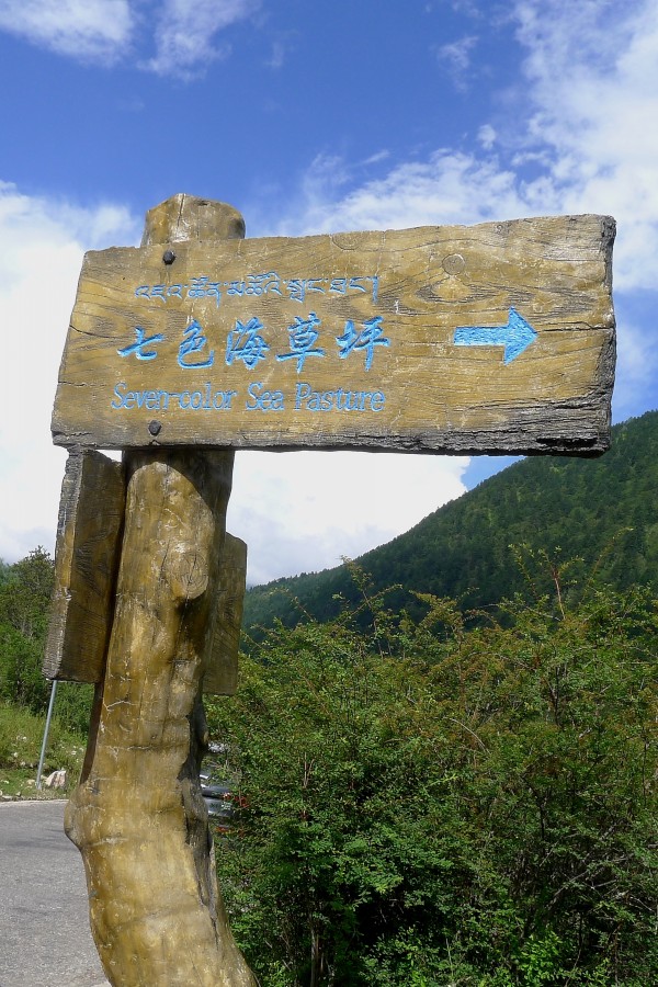 conew_p1030593.jpg