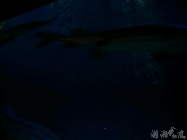 scan20130715024345.jpg