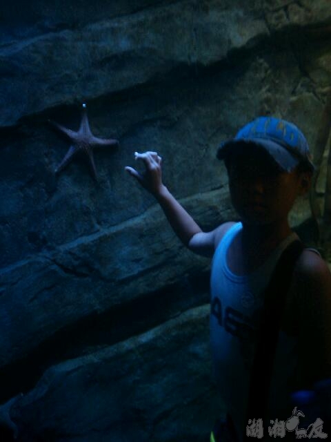 scan20130715041410.jpg