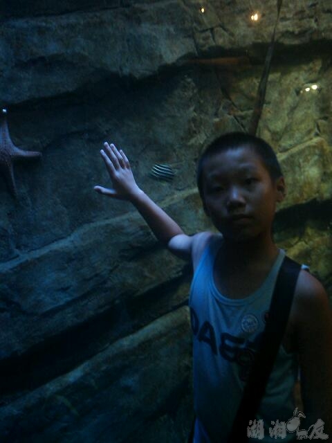 scan20130715041428.jpg