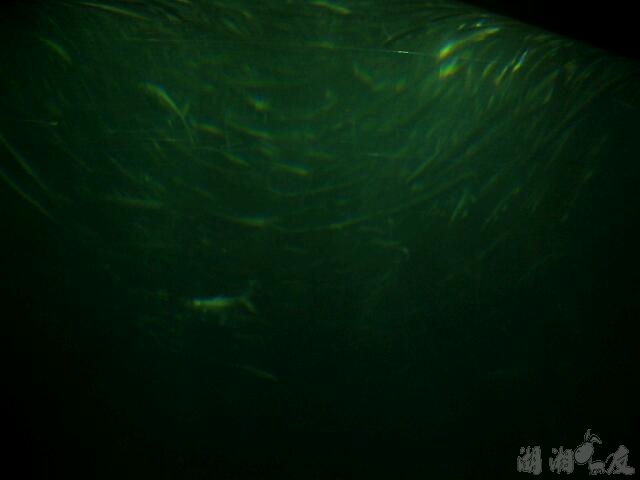 scan20130715042834.jpg