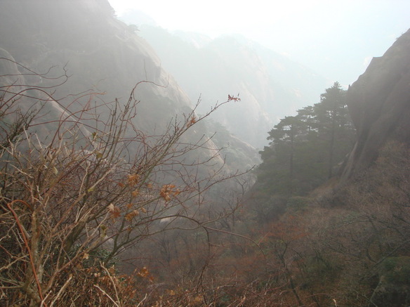 DSC02810.JPG