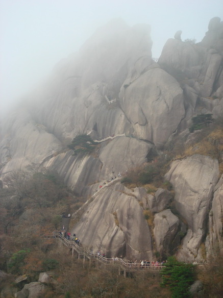 DSC02813.jpg