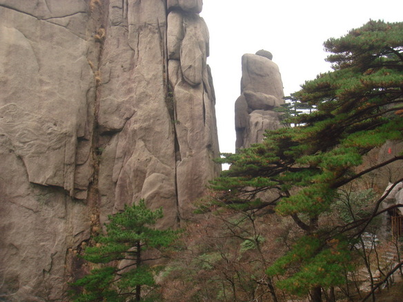 DSC02821.JPG