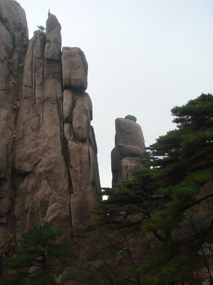 DSC02822.jpg