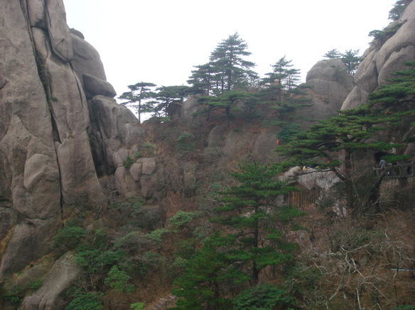 DSC02824.JPG