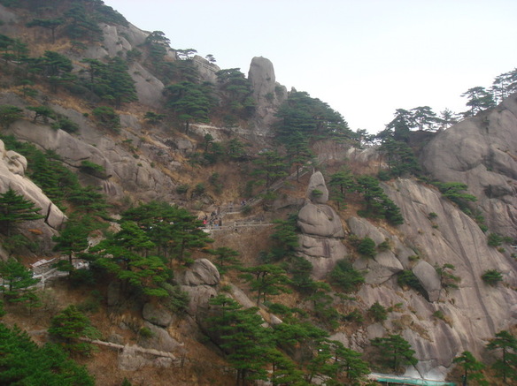 DSC02829.JPG