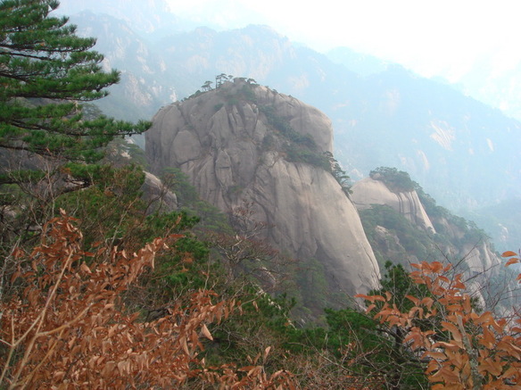 DSC02832.JPG
