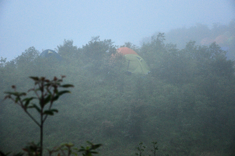DSC_4629.JPG
