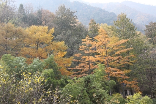 ��ɽ 478.jpg