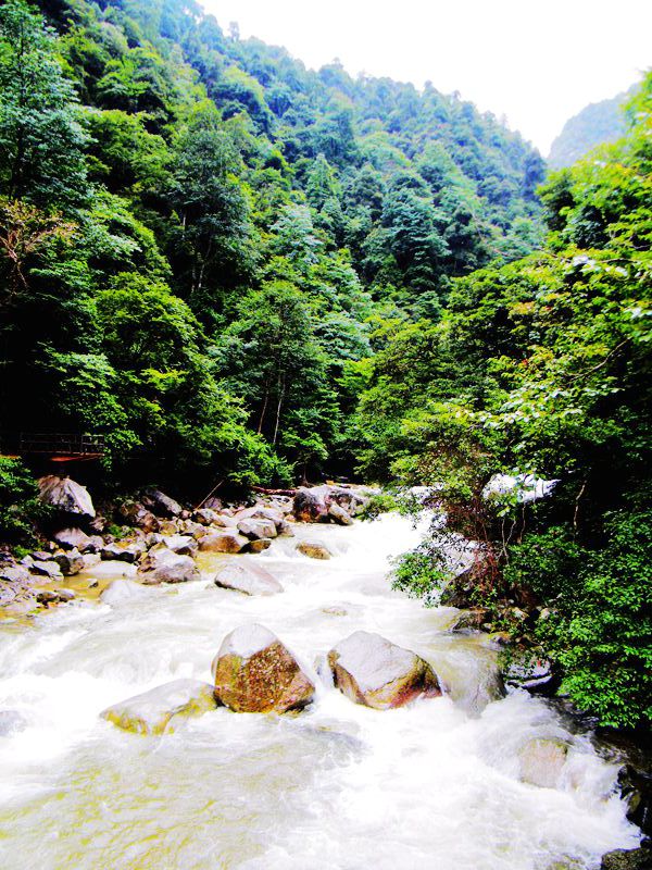 DSCF6977_����3.jpg