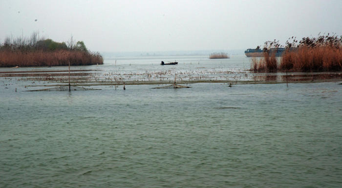 DSC_0512.jpg